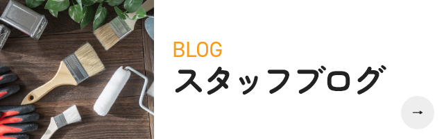スタッフブログ